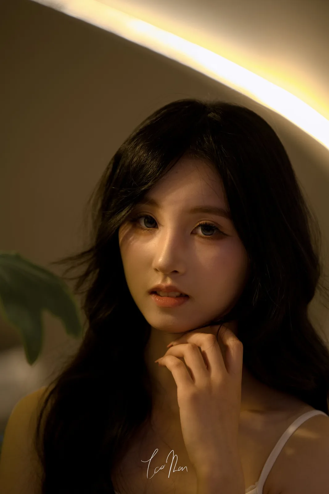 A portrait looking into the camera in warm light