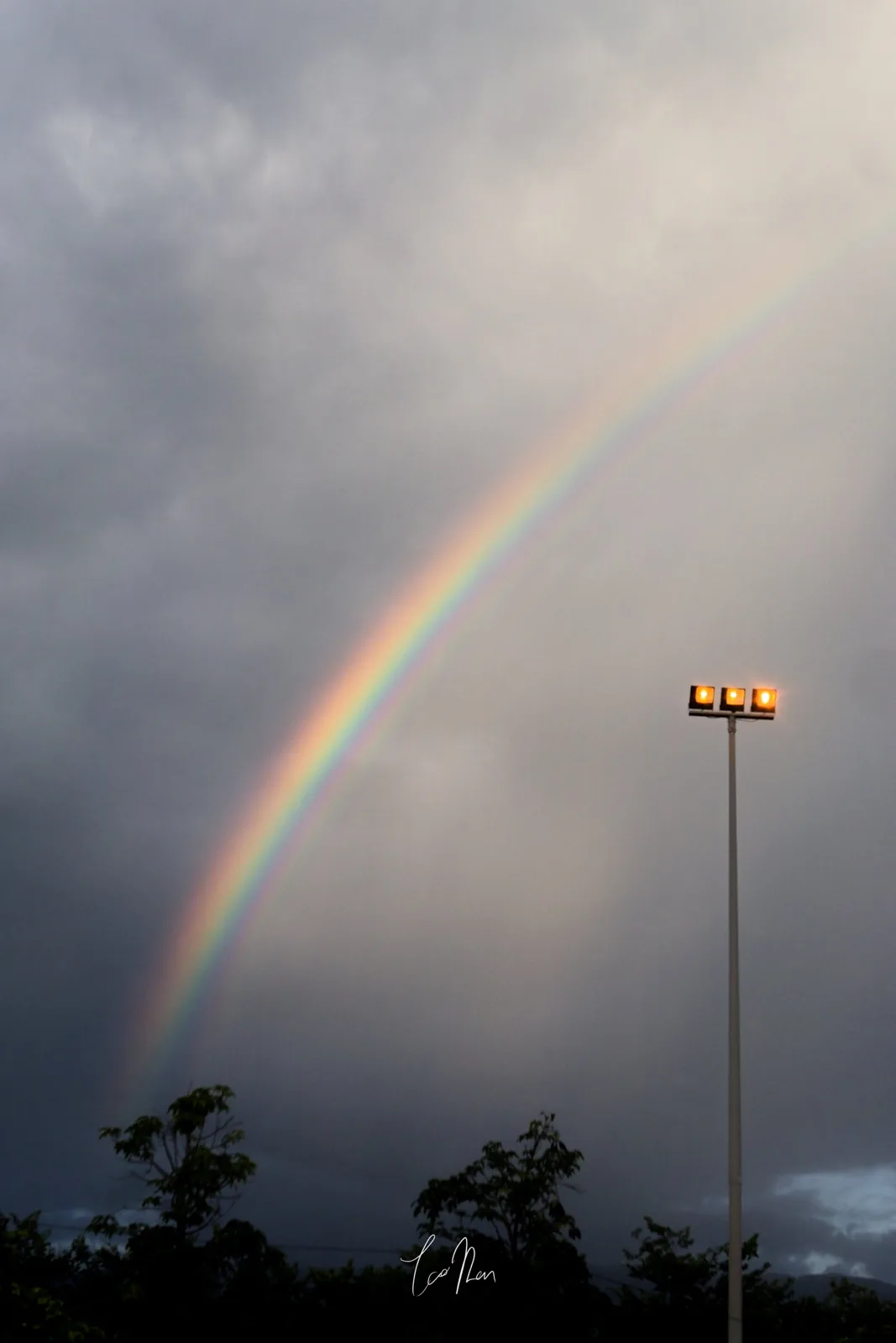 A rainbow and streetlight beneath a grey sky