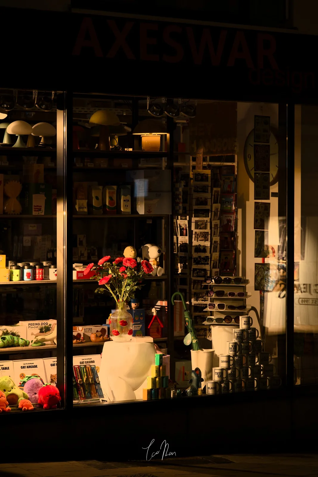 Flowers and a shop window on a street corner at night